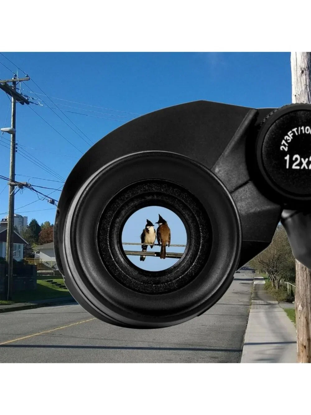 Compact 12x25 High-Powered Binoculars for Bird Watching, Travel & Outdoor